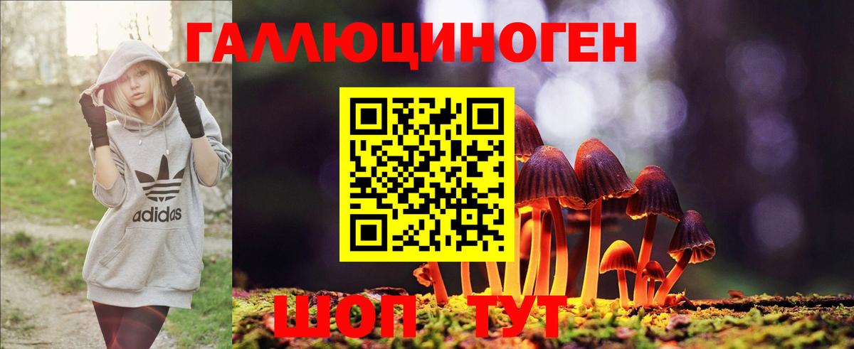 Галлюциногенные грибы GOLDEN TEACHER Аксай