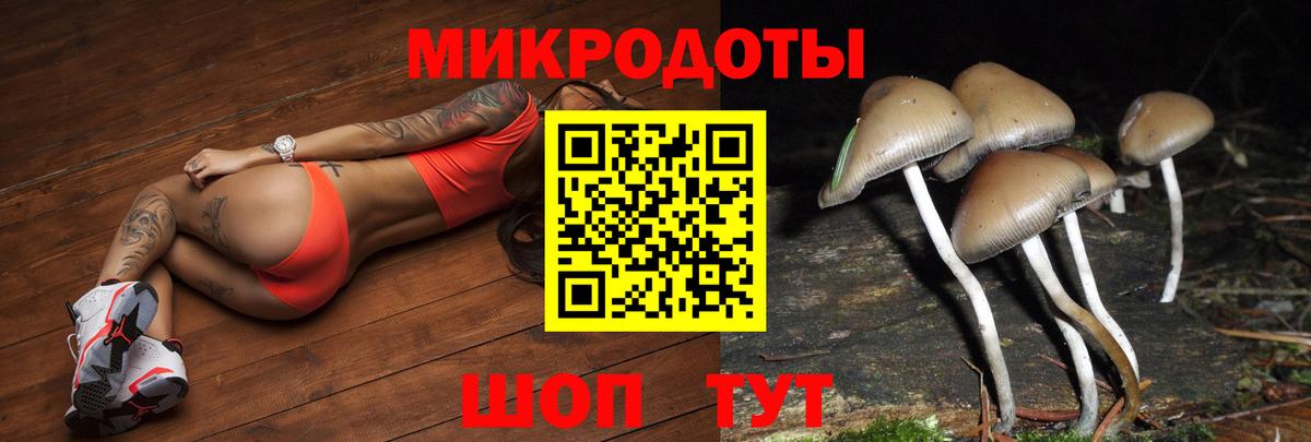 Аксай  Галлюциногенные грибы Psilocybine cubensis  Псилоцибиновые грибы MAGIC MUSHROOMS  Вход с VPN 